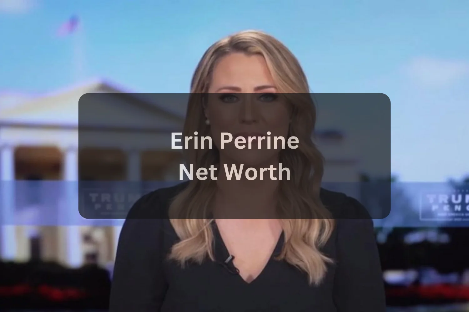 Erin Perrine Net Worth Income, Career, and Financial Success Explained