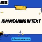 IDM Meaning in Text