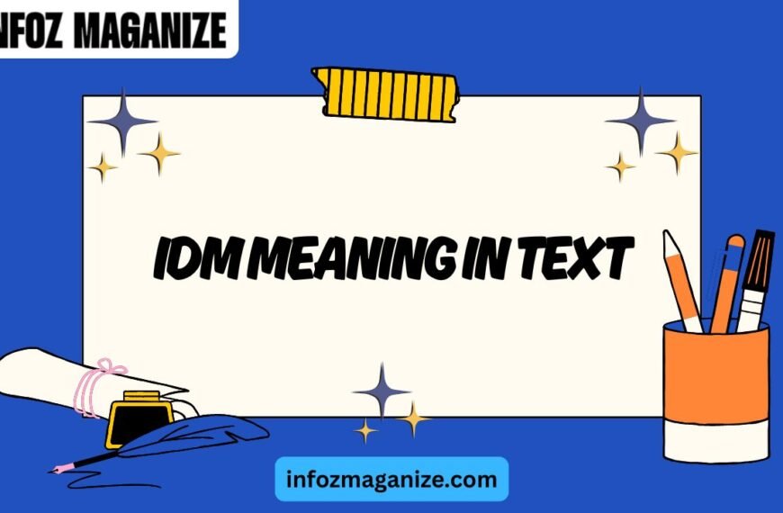 IDM Meaning in Text