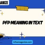 PFP Meaning in Text